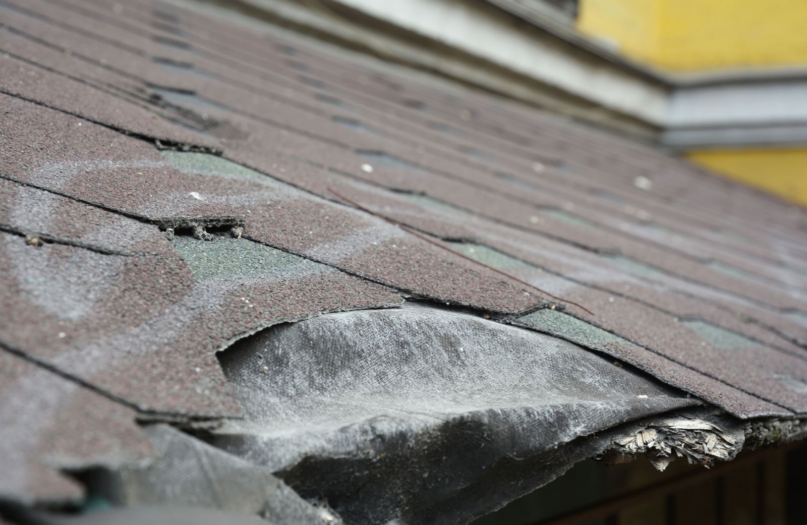 Damaged Roof