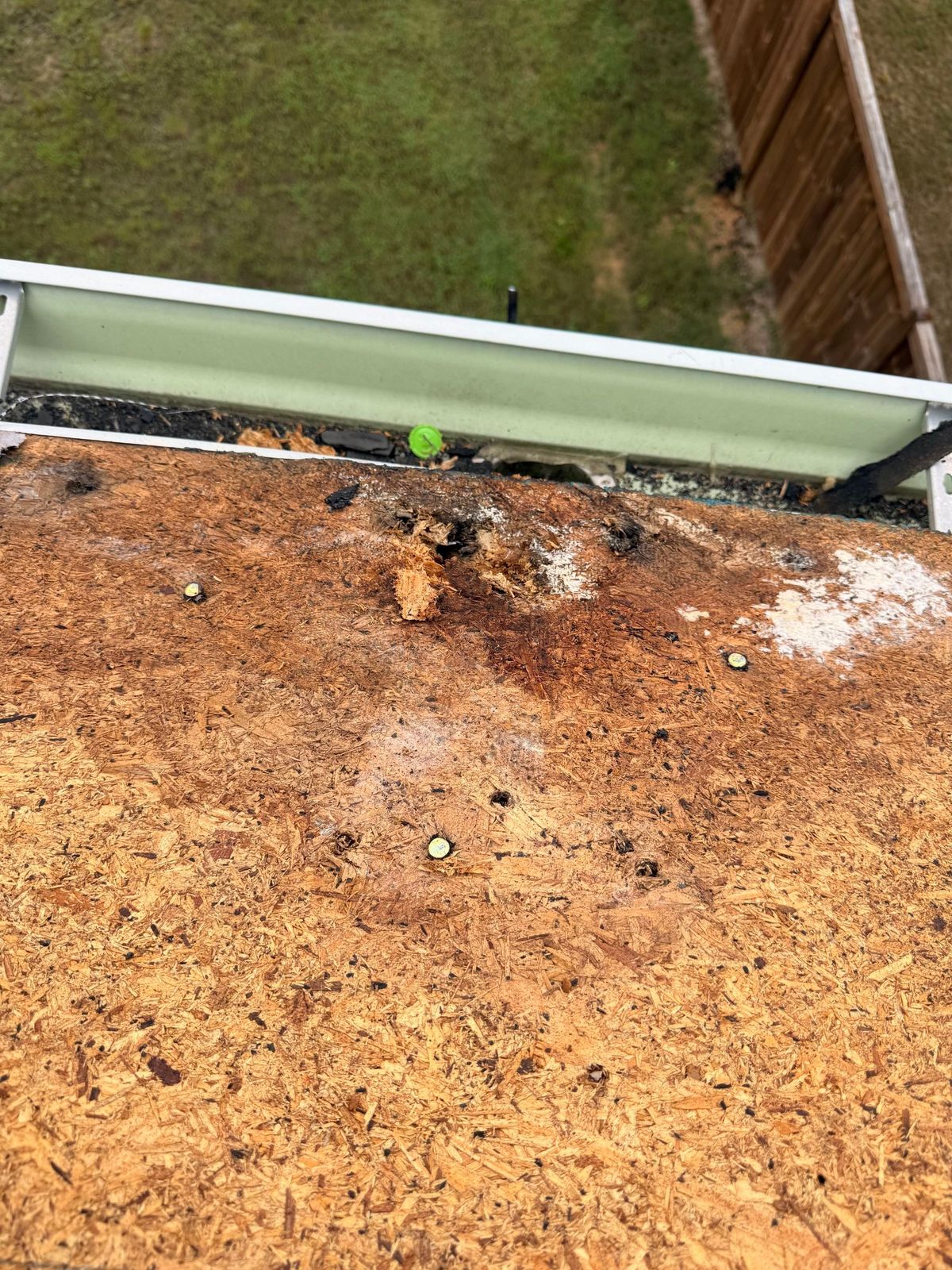 Water-damaged roof area near gutter needing repair Raleigh NC
